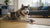 How Long Can Wet Dog Food Sit Out? Essential Guidelines for Pet Owners