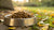 How Long Can You Leave Dry Dog Food Out? Essential Guidelines for Pet Owners