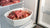 How Long Can You Leave Raw Dog Food in the Fridge? Essential Guidelines for Pet Owners