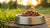 How Long Can You Leave Raw Dog Food Out? Essential Guidelines for Pet Owners