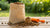 How Long Can You Store Dry Dog Food? A Complete Guide for Pet Owners