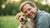 How Long Do You Feed Puppy Food to a Dog? A Comprehensive Guide for Pet Owners