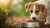 How Long Do You Give Dogs Puppy Food? A Comprehensive Guide