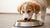 How Long Do You Give Puppy Food to a Dog? A Comprehensive Guide for Pet Owners
