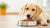 How Long Do You Keep Your Dog on Puppy Food? A Complete Guide for Pet Owners