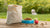 How Long Does a Bag of Dog Food Last? A Complete Guide for Pet Owners