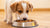 How Long Does a Dog Need to Eat Puppy Food? Understanding the Right Transition for Your Puppy