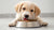 How Long Does a Dog Stay on Puppy Food? A Comprehensive Guide for Pet Parents