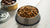 How Long Does Canned Dog Food Last Once Opened: A Comprehensive Guide for Pet Owners