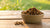 How Long Does Dog Dry Food Last? A Comprehensive Guide for Pet Owners
