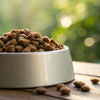 How Long Does Dog Food Stay Fresh After Opening? Essential Tips for Pet Owners
