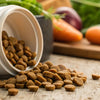How Long Does Dry Dog Food Last in a Container? Essential Insights for Pet Owners