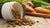 How Long Does Dry Dog Food Last in a Container? Essential Insights for Pet Owners