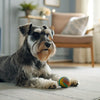 How Long Does Dry Dog Food Last Once Opened? A Comprehensive Guide for Pet Owners