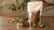 How Long Does Freeze-Dried Dog Food Last? Understanding Shelf Life and Best Practices