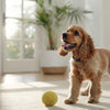 How Long Does Fresh Dog Food Last in the Fridge? A Comprehensive Guide for Pet Owners