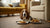 How Long Does Kibble Take to Digest? Understanding Your Dog's Digestive Process