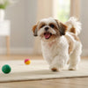 How Long Does Kibble Take to Soften? A Comprehensive Guide for Pet Owners