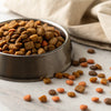 How Long Does Opened Dry Dog Food Last? Understanding Shelf Life and Storage Tips