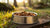 How Long Does Opened Wet Dog Food Last? Essential Storage Tips for Pet Owners