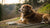 How Long Does Raw Dog Food Take to Digest? Understanding Your Dog’s Digestive Journey