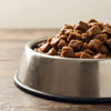 How Long Does Wet Dog Food Last? Essential Guidelines for Pet Owners