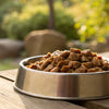 How Long Does Wet Dog Food Last in the Fridge? A Comprehensive Guide for Pet Owners