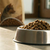 How Long is Dog Kibble Good For After Opening?
