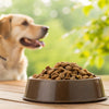 How Long Is Dry Dog Food Good For? A Comprehensive Guide for Pet Owners