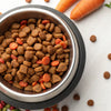 How Long is Dry Dog Food Good for Once Opened? Essential Tips for Pet Owners