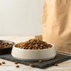 How Long Is Dry Dog Food Good for Unopened: A Comprehensive Guide for Pet Owners