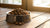 How Long Is Opened Dry Dog Food Good For? A Comprehensive Guide for Pet Owners