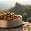 How Long is Wet Dog Food Good for After Opening?