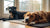 How Long Should Dogs Wait to Eat After Exercise?