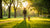 How Long Should I Exercise My Dog? A Comprehensive Guide for Pet Owners