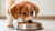 How Long Should I Give My Dog Puppy Food? Understanding Your Puppy’s Nutritional Journey