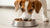How Long Should I Keep My Dog on Puppy Food? A Comprehensive Guide