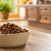 How Long Should I Soak My Dog's Kibble for Optimal Health and Happiness?