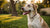 How Long Should My Dog Eat Puppy Food? A Complete Guide for Dog Owners