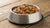 How Long Should Wet Dog Food Be Left Out?