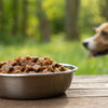 How Long Should You Leave Wet Dog Food Out? Essential Guidelines for Pet Owners