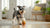 How Long to Feed Puppies Puppy Food: A Comprehensive Guide