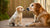 How Long to Feed Puppy Food to a Dog: A Comprehensive Guide for Pet Owners
