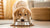 How Long to Feed Puppy Food to Large Breed Dogs: A Comprehensive Guide
