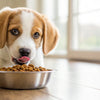 How Long to Keep a Dog on Puppy Food: Your Essential Guide
