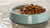 How Long to Soak Dog Kibble: Enhancing Your Pet's Feeding Experience