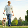 How Long to Wait After Dog Eats to Exercise: The Essential Guide for Dog Owners