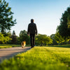 How Long to Walk Your Dog to Lose Weight: A Comprehensive Guide