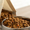How Long Will Dry Dog Food Last Once Opened?