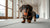 How Many Calming Treats Can a Dog Have? Understanding Safe Use for Your Furry Friend